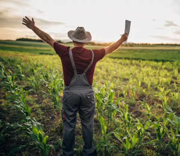 Defesa para Produtores Rurais Endividados